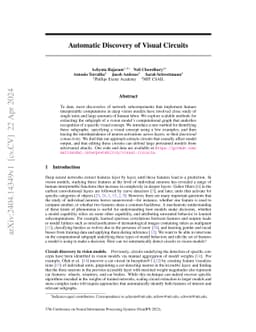 Automatic Discovery of Visual Circuits