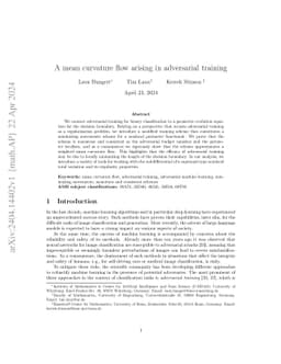 A mean curvature flow arising in adversarial training