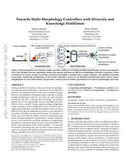 Towards Multi-Morphology Controllers with Diversity and Knowledge
  Distillation