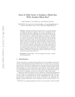 Does It Make Sense to Explain a Black Box With Another Black Box?