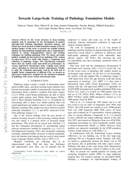 Towards Large-Scale Training of Pathology Foundation Models