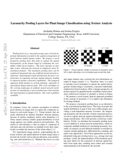 Lacunarity Pooling Layers for Plant Image Classification using Texture
  Analysis