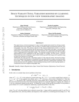 Space-Variant Total Variation boosted by learning techniques in few-view
  tomographic imaging
