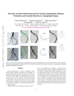 Dr-SAM: An End-to-End Framework for Vascular Segmentation, Diameter
  Estimation, and Anomaly Detection on Angiography Images
