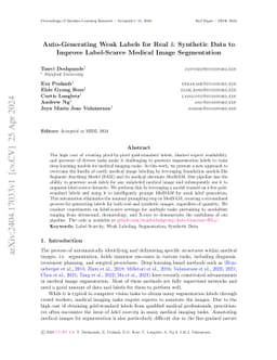 Auto-Generating Weak Labels for Real & Synthetic Data to Improve
  Label-Scarce Medical Image Segmentation