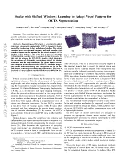 Snake with Shifted Window: Learning to Adapt Vessel Pattern for OCTA
  Segmentation