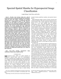 Spectral-Spatial Mamba for Hyperspectral Image Classification