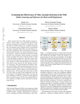 Evaluating the Effectiveness of Video Anomaly Detection in the Wild:
  Online Learning and Inference for Real-world Deployment