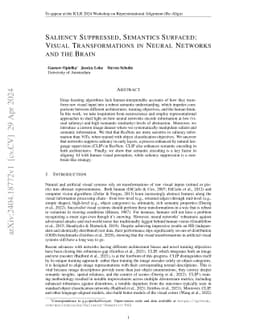 Saliency Suppressed, Semantics Surfaced: Visual Transformations in
  Neural Networks and the Brain