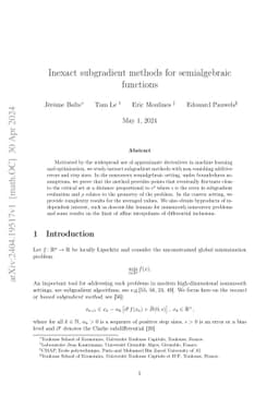 Inexact subgradient methods for semialgebraic functions