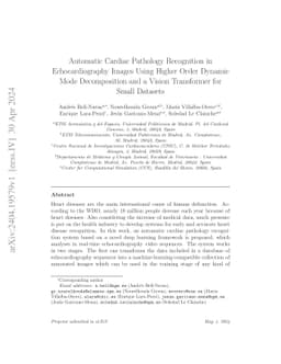 Automatic Cardiac Pathology Recognition in Echocardiography Images Using
  Higher Order Dynamic Mode Decomposition and a Vision Transformer for Small
  Datasets