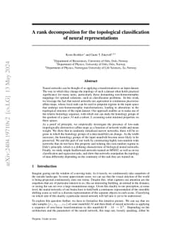 A rank decomposition for the topological classification of neural
  representations