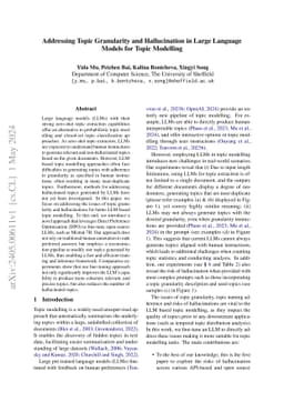 Addressing Topic Granularity and Hallucination in Large Language Models
  for Topic Modelling