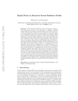 Depth Priors in Removal Neural Radiance Fields