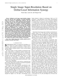 Single Image Super-Resolution Based on Global-Local Information Synergy