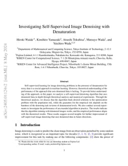 Investigating Self-Supervised Image Denoising with Denaturation