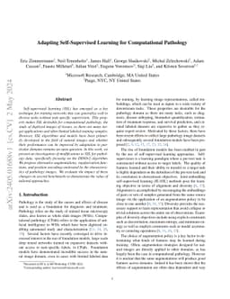 Adapting Self-Supervised Learning for Computational Pathology