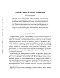 Tuning parameter selection in econometrics