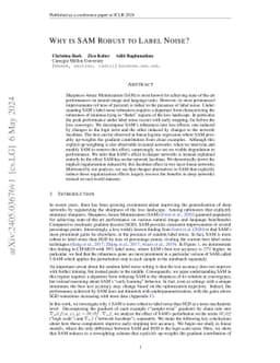 Why is SAM Robust to Label Noise?