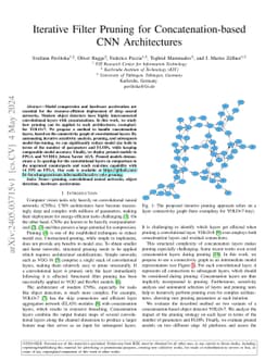 Iterative Filter Pruning for Concatenation-based CNN Architectures