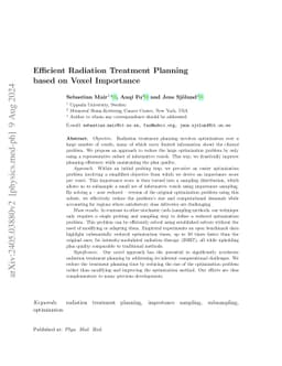 Efficient Radiation Treatment Planning based on Voxel Importance