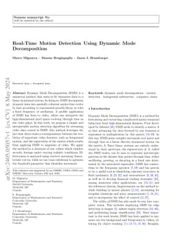 Real-Time Motion Detection Using Dynamic Mode Decomposition