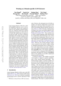 Pruning as a Domain-specific LLM Extractor