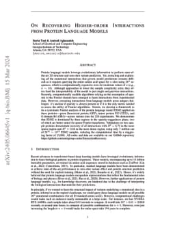 On Recovering Higher-order Interactions from Protein Language Models