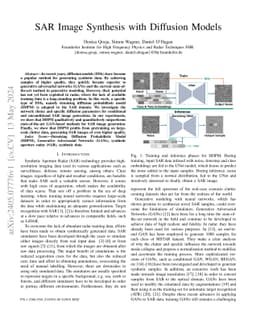 SAR Image Synthesis with Diffusion Models