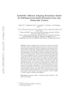 EndoDAC: Efficient Adapting Foundation Model for Self-Supervised Depth
  Estimation from Any Endoscopic Camera