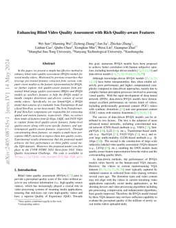 Enhancing Blind Video Quality Assessment with Rich Quality-aware
  Features