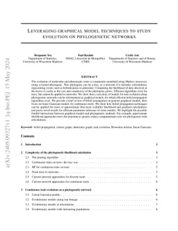 Leveraging graphical model techniques to study evolution on phylogenetic
  networks
