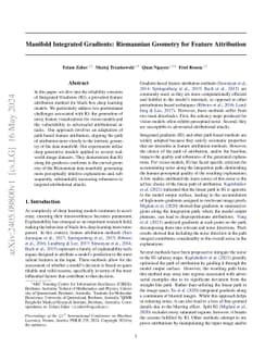 Manifold Integrated Gradients: Riemannian Geometry for Feature
  Attribution