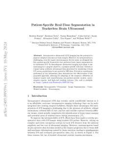 Patient-Specific Real-Time Segmentation in Trackerless Brain Ultrasound