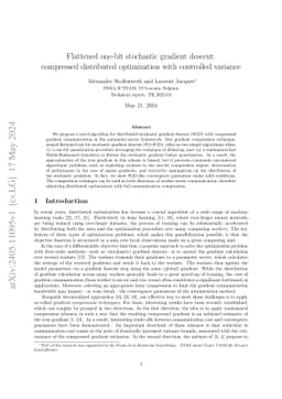Flattened one-bit stochastic gradient descent: compressed distributed
  optimization with controlled variance
