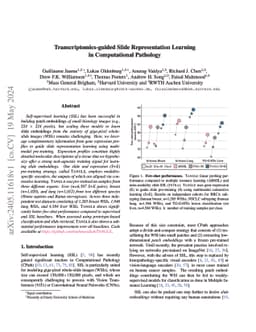 Transcriptomics-guided Slide Representation Learning in Computational
  Pathology