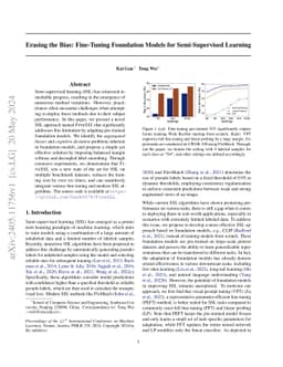 Erasing the Bias: Fine-Tuning Foundation Models for Semi-Supervised
  Learning
