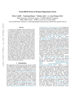 From SHAP Scores to Feature Importance Scores