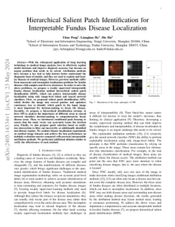Hierarchical Salient Patch Identification for Interpretable Fundus Disease Localization