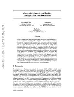 Multistable Shape from Shading Emerges from Patch Diffusion