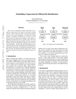 Embedding Compression for Efficient Re-Identification