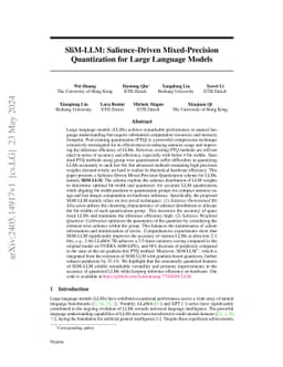 SliM-LLM: Salience-Driven Mixed-Precision Quantization for Large
  Language Models