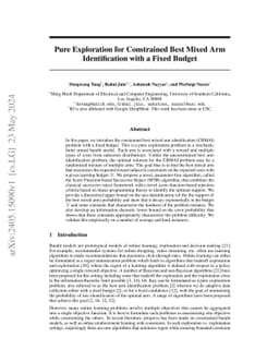 Pure Exploration for Constrained Best Mixed Arm Identification with a
  Fixed Budget