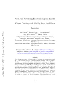 NMGrad: Advancing Histopathological Bladder Cancer Grading with Weakly
  Supervised Deep Learning