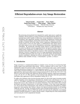 Efficient Degradation-aware Any Image Restoration