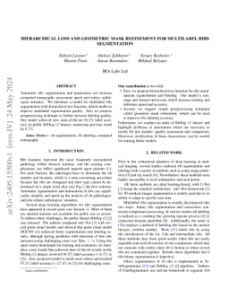 Hierarchical Loss And Geometric Mask Refinement For Multilabel Ribs
  Segmentation