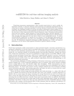 realSEUDO for real-time calcium imaging analysis