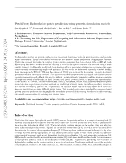 PatchProt: Hydrophobic patch prediction using protein foundation models