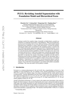 PLUG: Revisiting Amodal Segmentation with Foundation Model and
  Hierarchical Focus