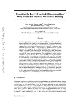 Exploiting the Layered Intrinsic Dimensionality of Deep Models for
  Practical Adversarial Training